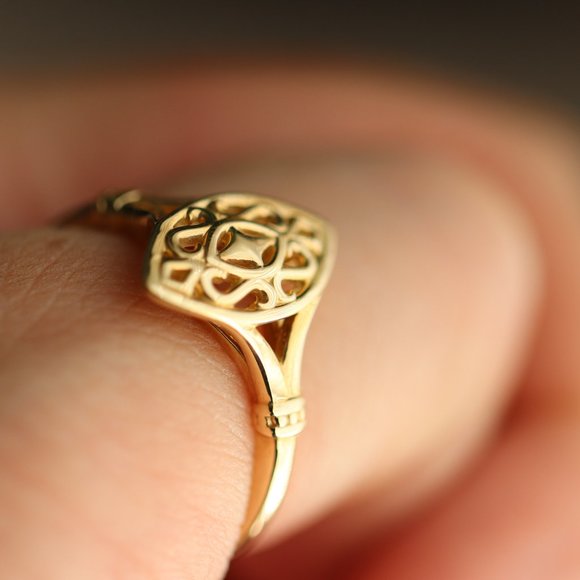 14K solid gold ring - Wings of Antiquity - Picture 16 of 17